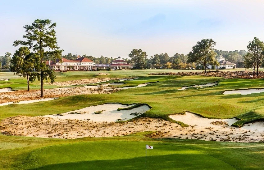 Pinehurst Tour Championship Reverse Weave — view 6 of 6